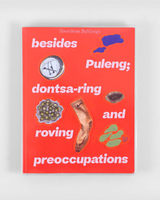 Simnikiwe Buhlungu: 'besides Puleng; dontsa-ring and roving preoccupations'